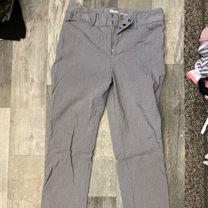 A New Day Dress Pants